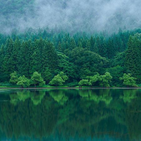Hokuryuko Hotel North Nagano Нодзава-Онсен Екстер'єр фото